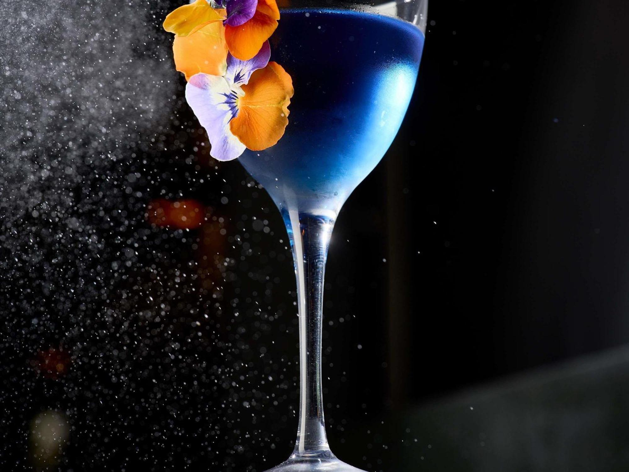 Pullman Montparnasse 4*