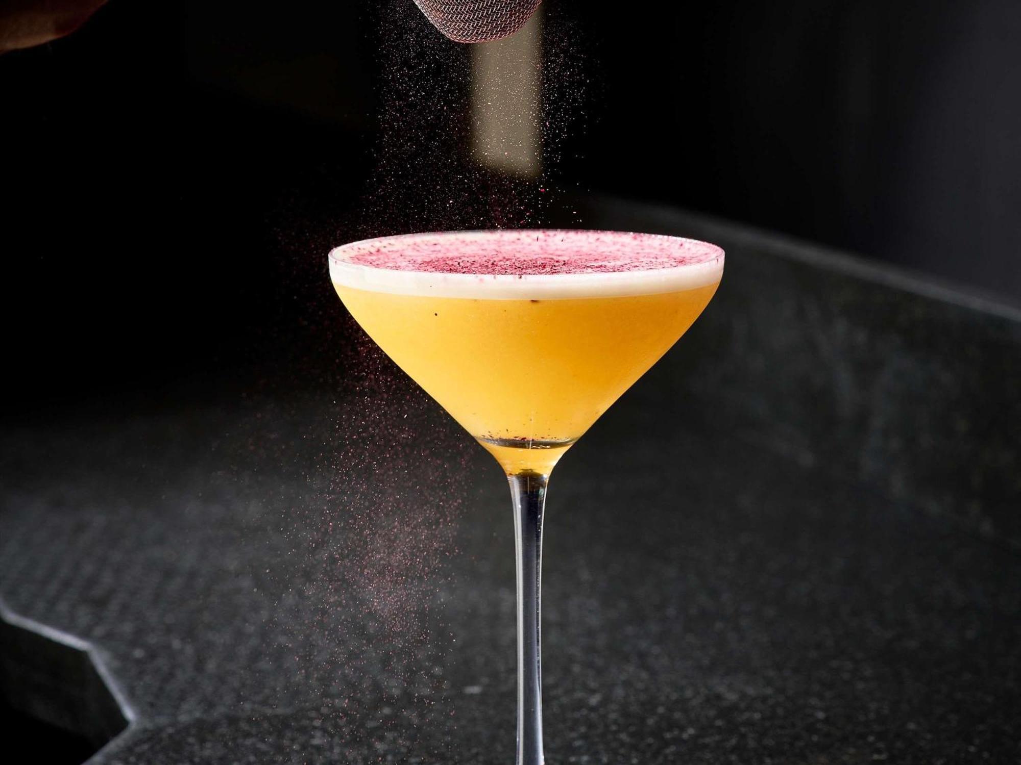 Pullman Montparnasse Hotel Parigi