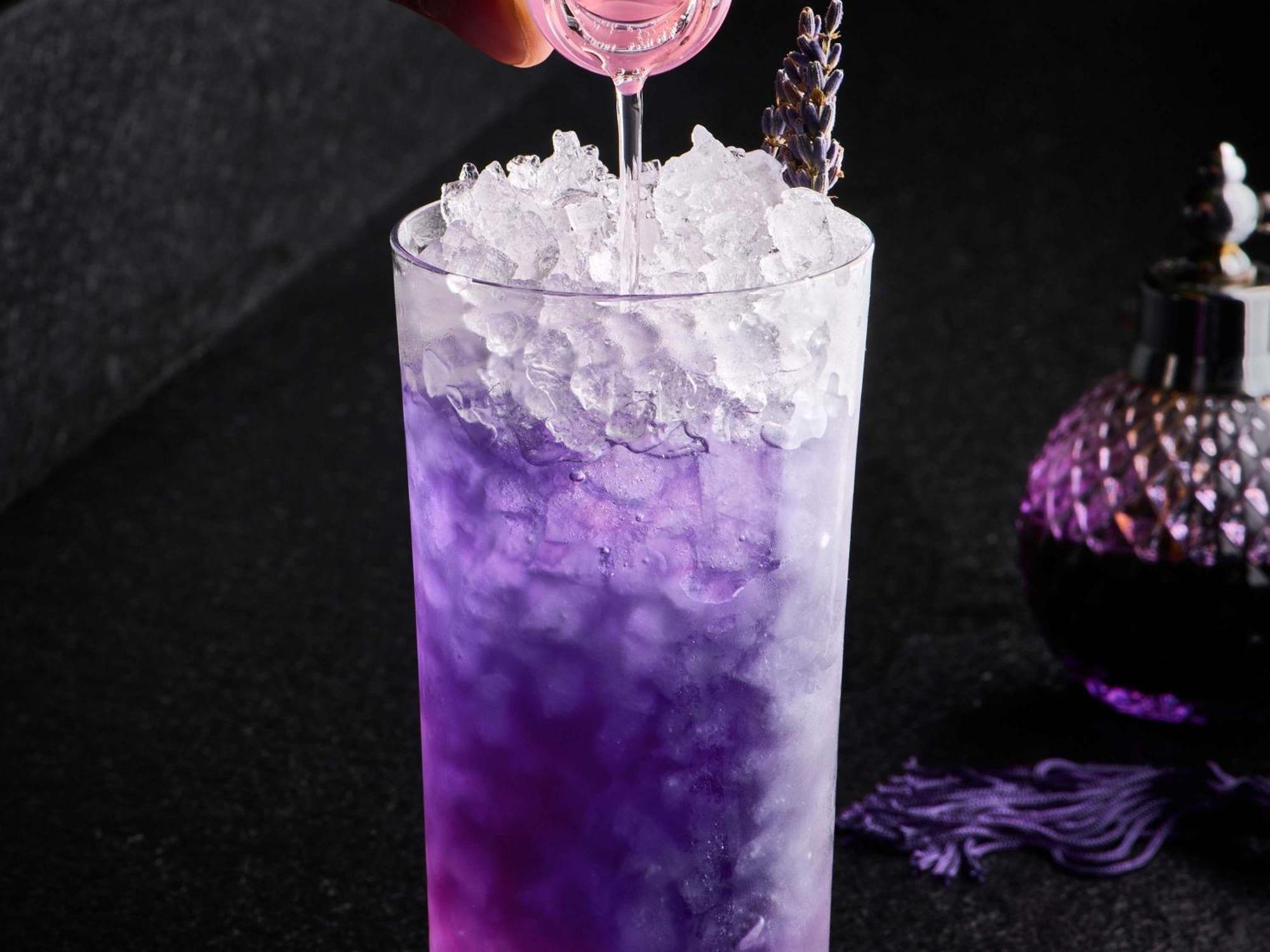 Hotel Pullman Montparnasse