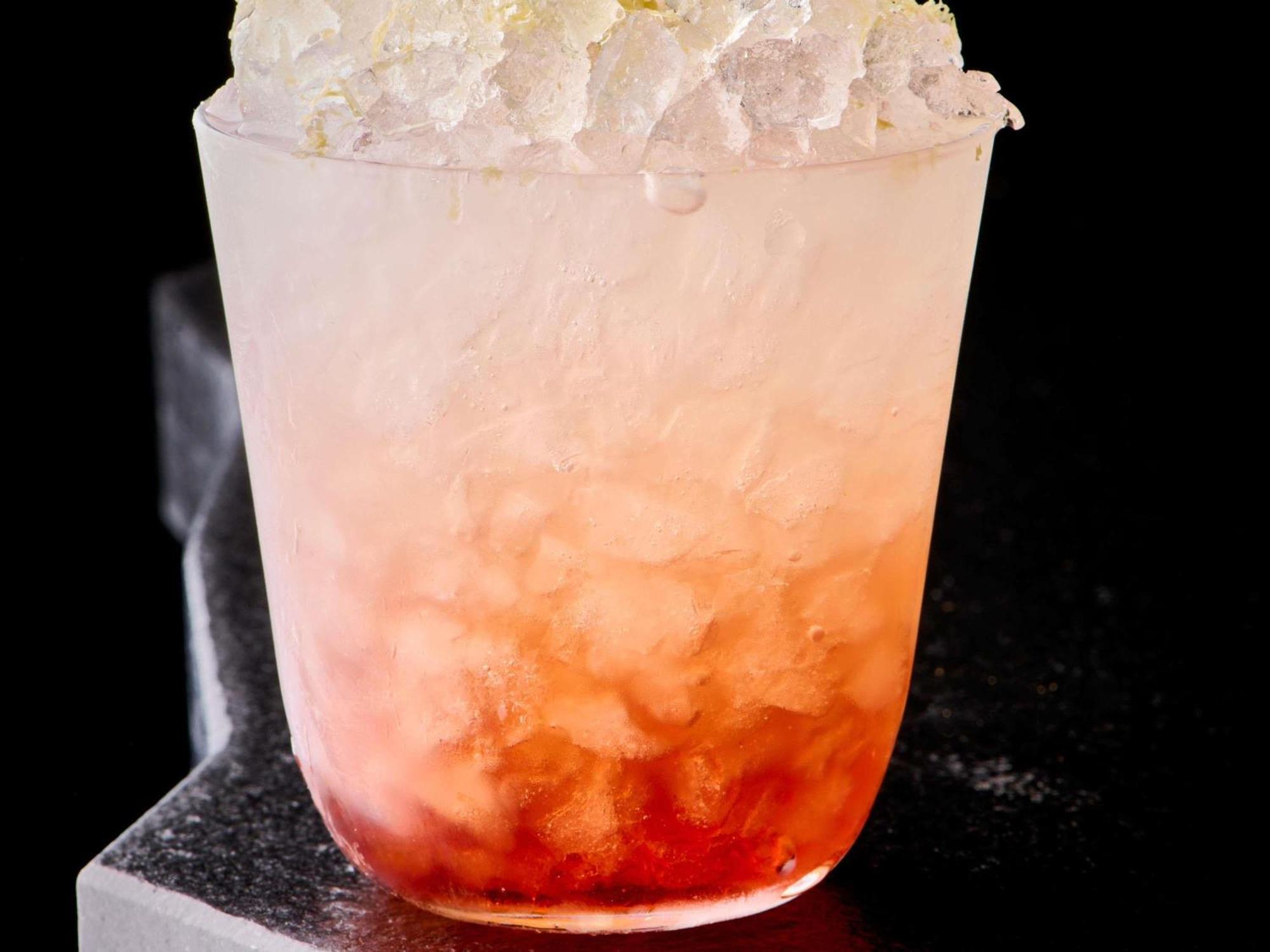 Pullman Montparnasse Hotel 4*